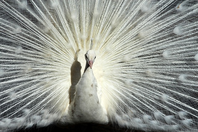 睡眠是否达